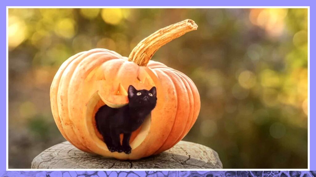 The Surprising Origins of Halloween Transcript Rev